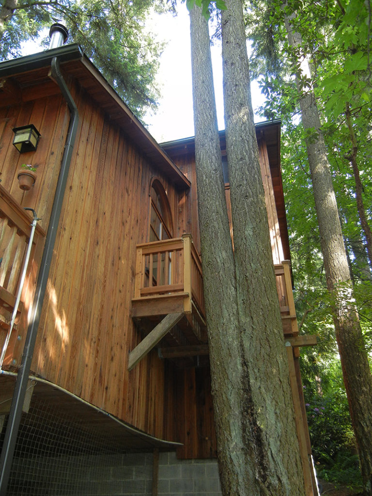 Eugene house in the woods